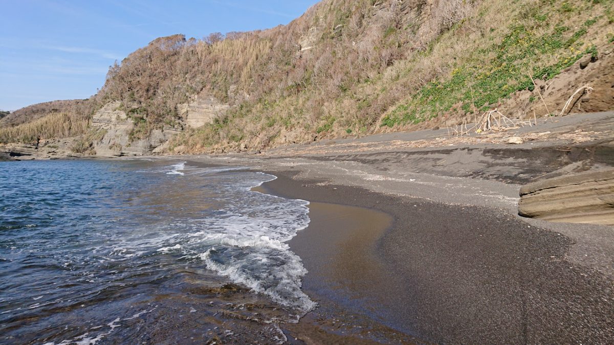 子供が喜ぶ磯遊び 絶対おすすめポイント 千葉 大房岬 海岸園地 Transferee Fishing