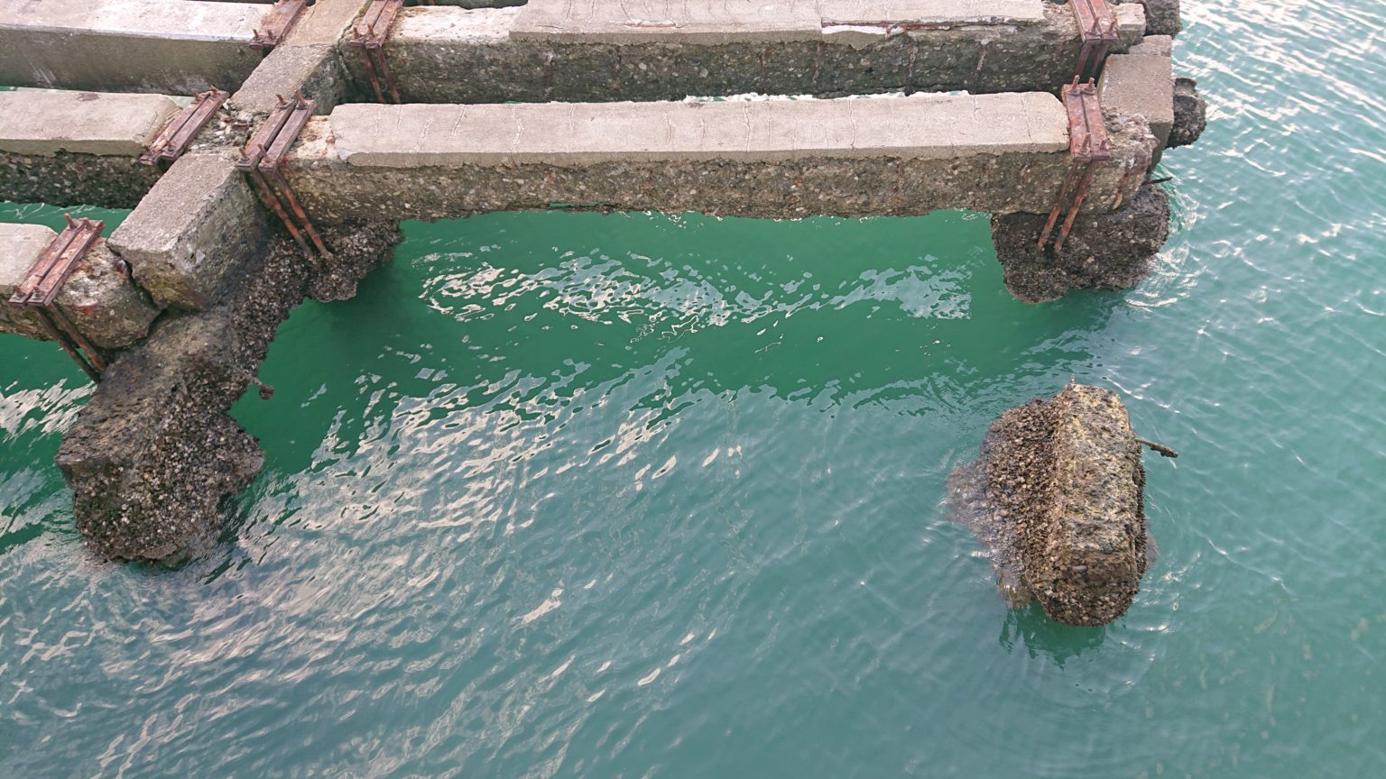 【千葉県 館山夕日桟橋】アジ釣りに人気！安心して遊べるファミリー向け海釣りポイント！！ 海パンフィッシャー