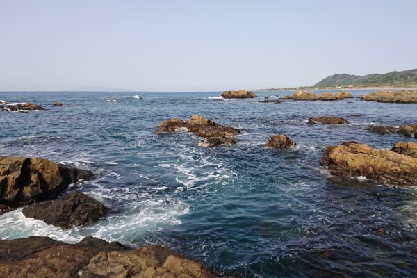 海パンフィッシャー 釣りポイントや道具等を中心に紹介するブログ